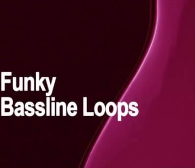 AudioFriend Funky Bassline Loops [WAV]