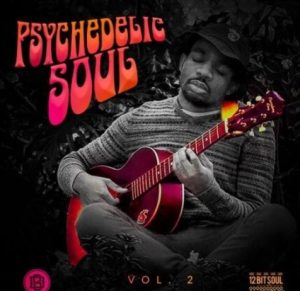 Divided Souls Psychedelic Soul Vol.2 [WAV]