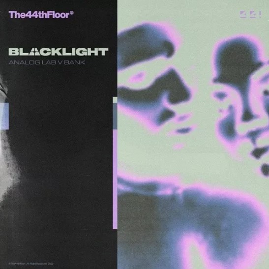 The44thfloor Blacklight (Analog Lab V Bank) [Synth Presets]
