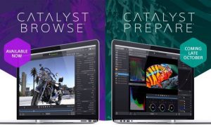 Catalyst Browse Suite 2017.3