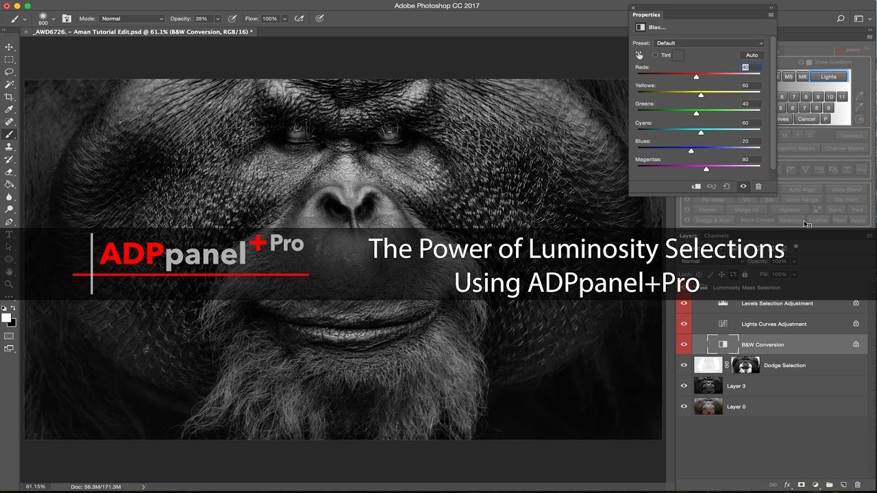 ADP Pro 3.1 for Adobe Photoshop 