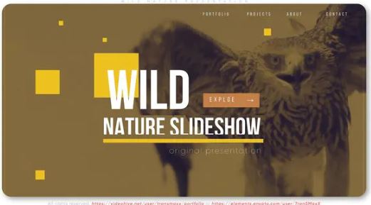 Videohive Wild Nature Presentation Free Download