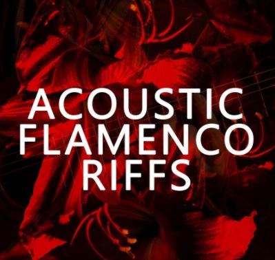 Blackwood Samples Acoustic Flamenco Riffs [WAV]