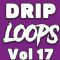 DiyMusicBiz Drip Loops Vol.17 [WAV] (Premium)