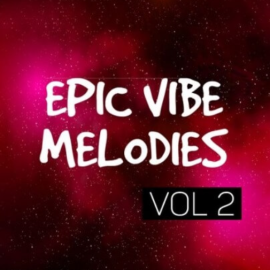 DiyMusicBiz Epic Vibe Melodies Vol.2 [WAV]  (Premium)