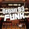 Big Citi Loops Organ B3 Funk [WAV] (Premium)