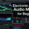 SkillShare Electronic Music Audio Mixing for Beginners part 1 (channels, frequency and equalization) [TUTORiAL] (Premium)