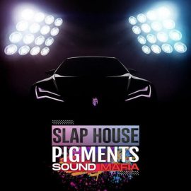 Sound Mafia Slap House Pigments [MULTiFORMAT] (Premium)