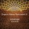 Riemann Kollektion ASHRAM Organic House Percussion 2 [WAV] (Premium)