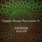 Riemann Kollektion ASHRAM Organic House Percussion 5 [WAV] (Premium)