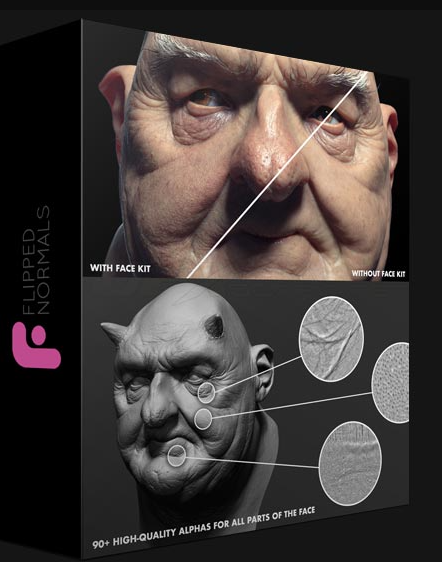 FLIPPED NORMALS – FACE KIT