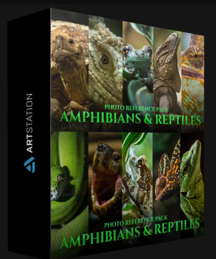 ARTSTATION – AMPHIBIANS & REPTILES – PHOTO REFERENCE PACK FOR ARTISTS 197 JPEGS BY SATINE ZILLAH
