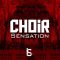 Innovative Samples Choir Sensation [WAV] (Premium)