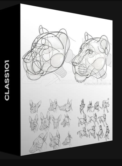 CLASS101 – LEARN ANIMAL ANATOMY TO DRAW REALISTIC ANIMALS FROM IMAGINATION BY MONIKA