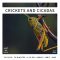 Just Sound Effects Crickets and Cicadas [WAV] (Premium)