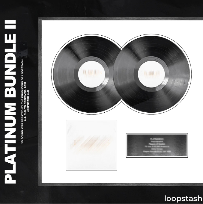 Loopstash Platinum Bundle Vol.2 [WAV, Synth Presets, AiFF]