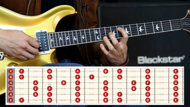 Udemy The Ultimate Guitar Fretboard Notes Memorization Course [TUTORiAL]