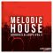 Get Down Samples Melodic House Grooves and Loops Vol.2 [WAV] (Premium)