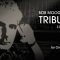 Spectrasonics Bob Moog Tribute Library v2.0c (STEAM) (Premium)