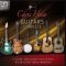 Chris Hein Guitars DE [KONTAKT] (Premium)