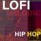Flintpope LOFI MELODIC HIP HOP (Premium)