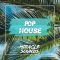 Miracle Sounds Pop House (Premium)