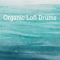 New Loops Organic Lofi Drums (Premium)