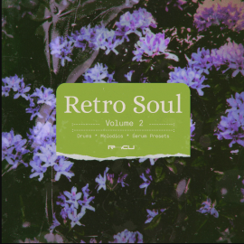 Renraku Retro Soul 2 (Premium)